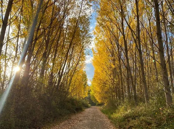Rural Nubes Otel Salas De Los Infantes
